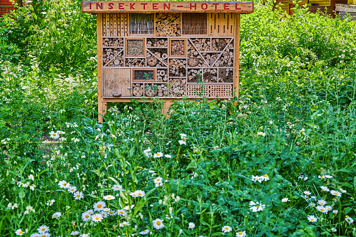 View to an insect hotel made of different materials to offer a retreat for many species. The text above is German for insect hotel.