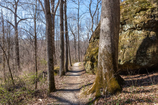 indian creek naturlehrpfad - shawnee national forest stock-fotos und bilder