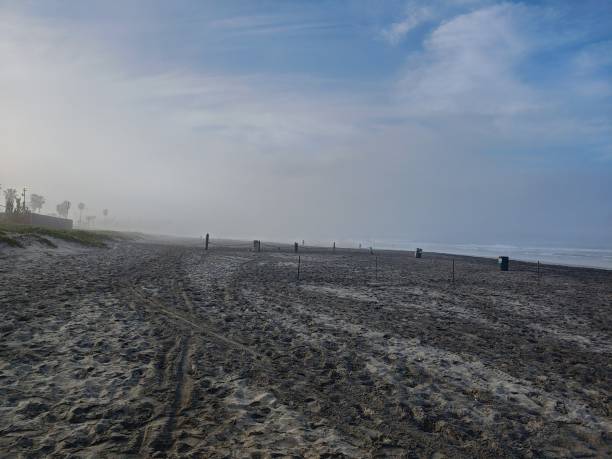istock beach in the morning fog 1480354855