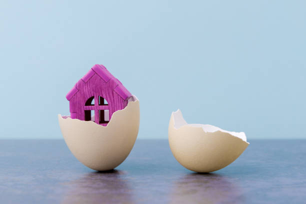 istock Pink House in egg shell over light blue background with copy space. Conceptual Easter greeting card 1480355027