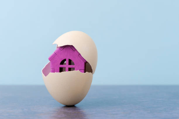 istock Pink House in egg shell on blue background with copy space. Conceptual Easter greeting card 1480355031