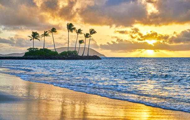 istock Sunrise on the Beach in Hawaii 1480375522