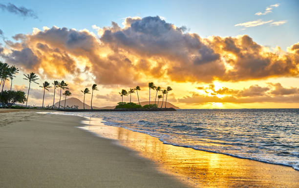 istock Sunrise on the Beach in Hawaii 1480375535