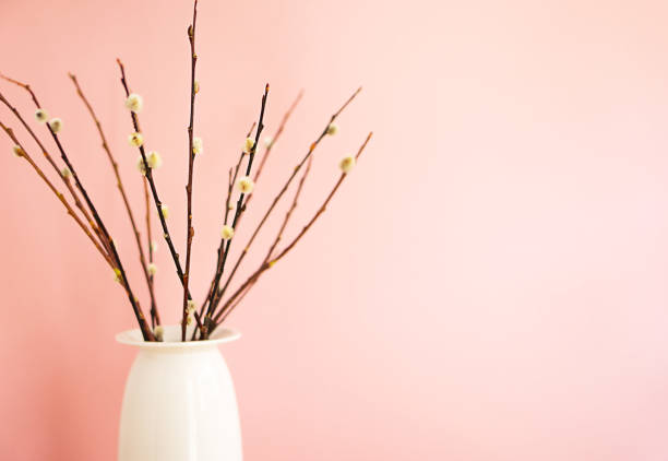 istock Bouquet of willow branches on a pink background. 1480376036