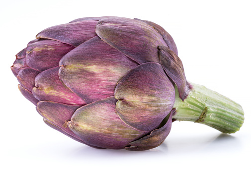 Artichoke flower,purple edible bud isolated on white background.