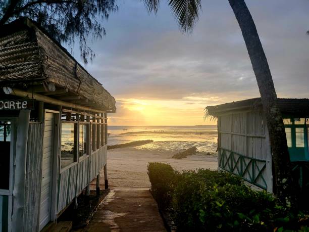istock Travel life style zanzibar 1480376351
