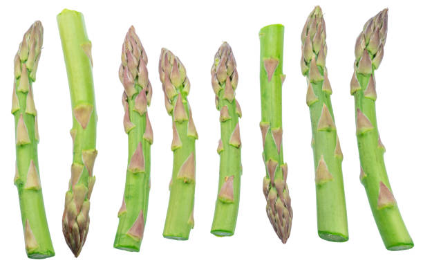 istock Row of green asparagus spears on white background. Clipping path. 1480376379