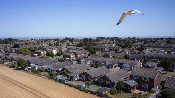 Seagull photographed By Drone stock photo