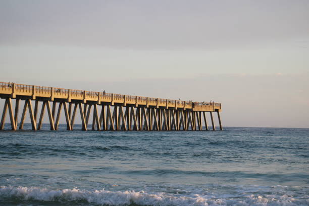istock Beach long fishing wooden dock 1480381970