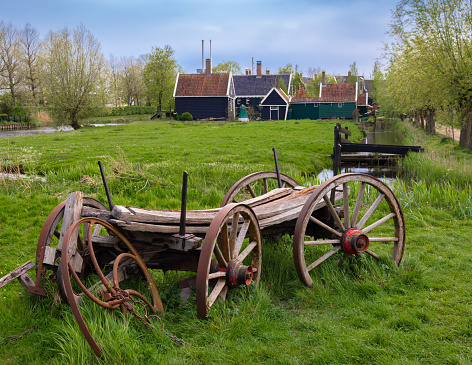 A beautiful rural landscape in Hollands Zaanse Schans, featuring a wooden cart and building surrounded by fields of green grass and plants.