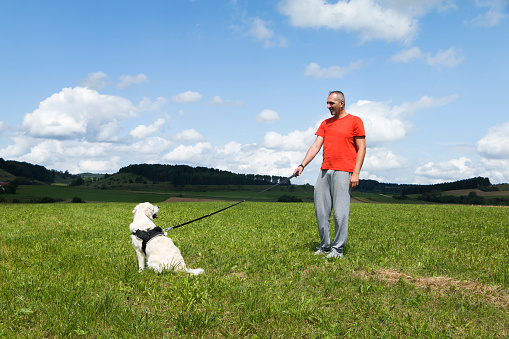 Men is caring about dog. They are outside and walking. Men is standing on the grass and playing with his dog. The dog's leash is on the man's hand.
