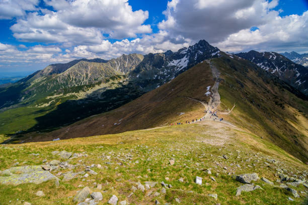 タトラ山脈の風景。 - tatra national park ストックフォトと画像