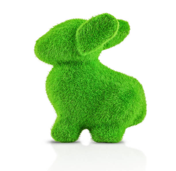 istock Green grass easter bunny rabbit isolated on white bsckground 1480405029