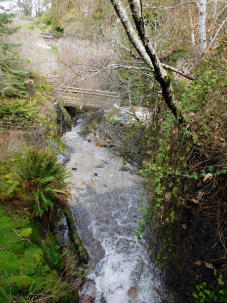 istock Tilden Park Botanical Garden 2 1480412079