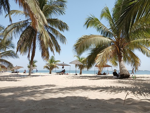Coconut trees; sun, sea breeze; sea sand; all the cockatil for a peaceful relaxation on a Senegalese beach in Africa