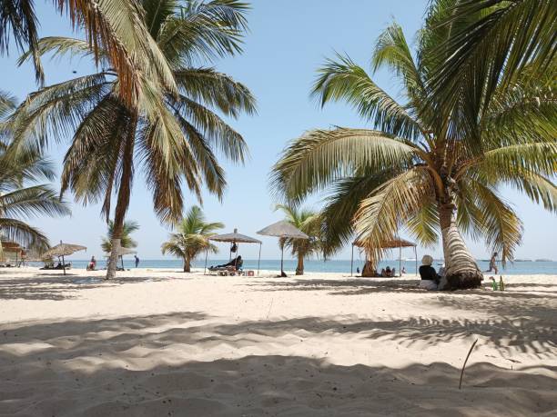 An afternoon at the beach in Africa. Coconut trees; sun, sea breeze; sea sand; all the cockatil for a peaceful relaxation on a Senegalese beach in Africa senegal beach stock pictures, royalty-free photos & images