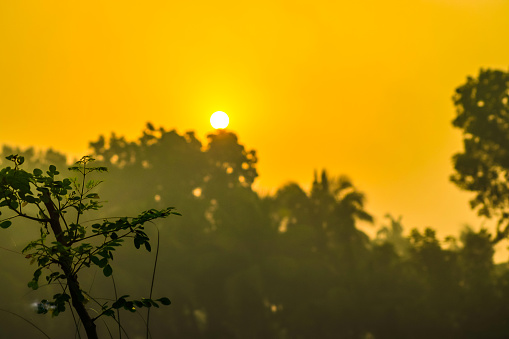 Sunrise view of natural landscape at Bangladesh. Such a beautiful sunrise view.Selective focus and blur background with noise artifacts.