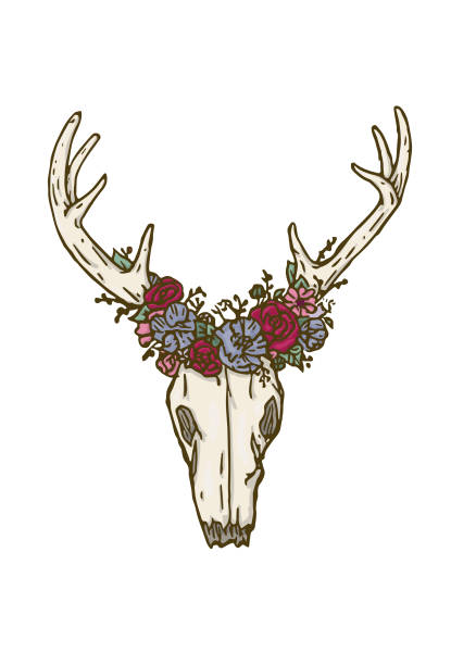 手描きの鹿の頭蓋骨と花 ベクターアートイラスト