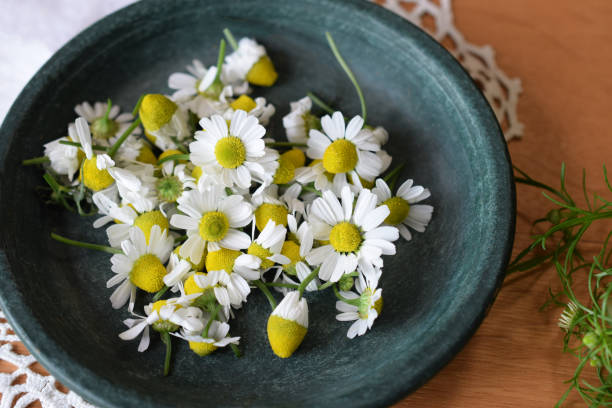 istock chamomile flowers on the table. 1480437420