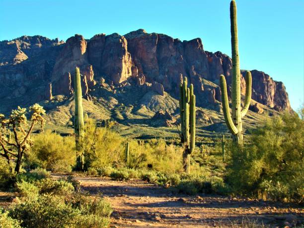 istock Rugged Beauty of Arizona 1480437807