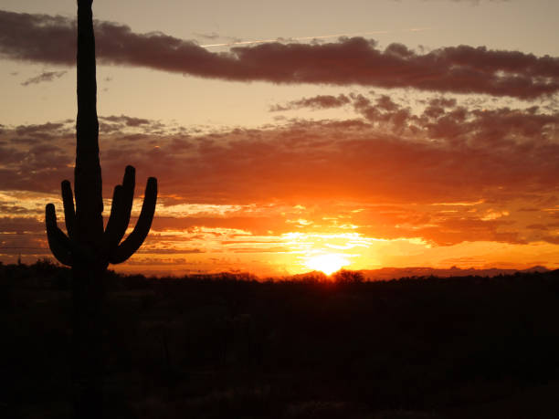 istock Rugged Beauty of Arizona 1480437843
