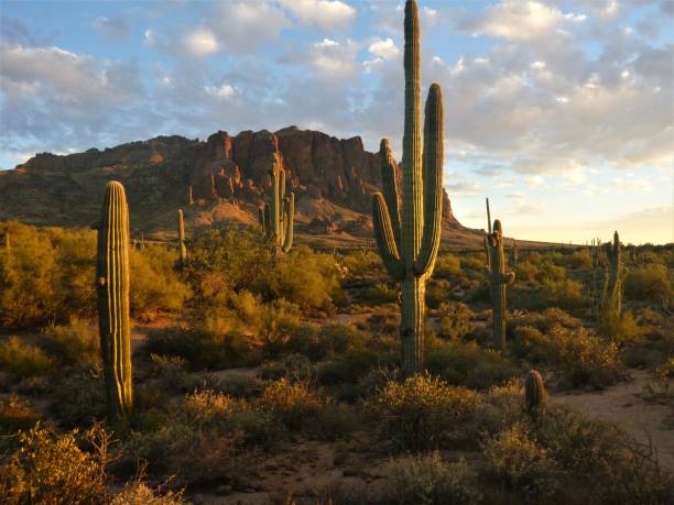 istock Rugged Beauty of Arizona 1480438635