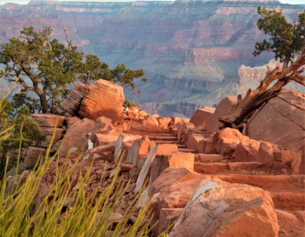 istock Rugged Beauty of Arizona 1480438716
