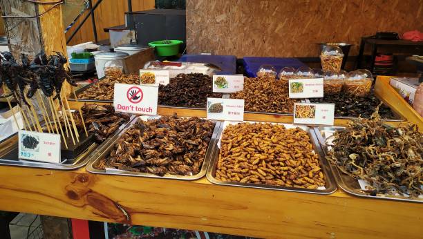 istock Extreme and Unique Food Buffet 1480445574