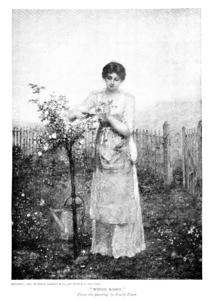 istock White Roses by Emily Hart, 19th Century Painting 1480449258