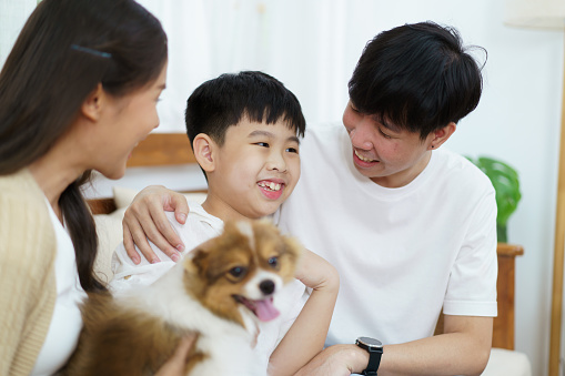 Happy cheerful Asian family father mother and son enjoy playing with a lovely little dog in living room together. Asian little boy staying with parent in living room with a pet.