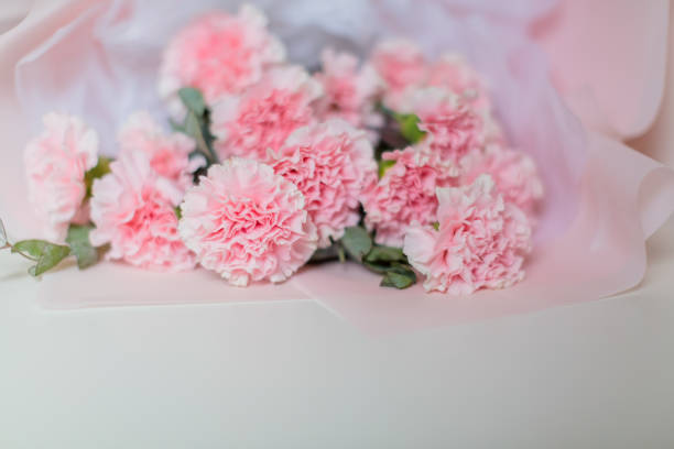 istock Beautiful Mother Day Carnation Bouquet 1480456911