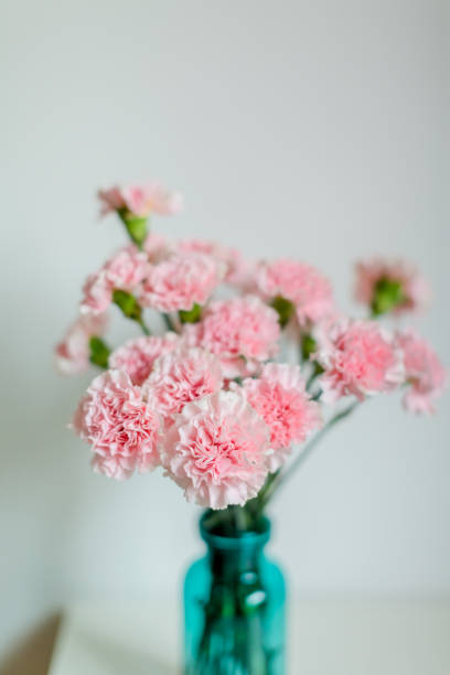 istock Beautiful Mother Day Carnation Bouquet 1480456914