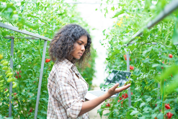 istock teen modern gardener ,Smart Farm 1480463500