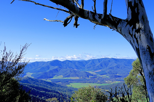 Scene from the slopes of   Mount Buffalo in the High Country