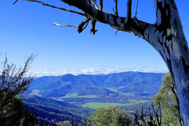 Bright,  Victoria,  Australia Scene from the slopes of   Mount Buffalo in the High Country murray darling basin stock pictures, royalty-free photos & images