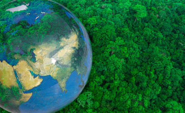 Atmospheric aerial view of the green forest with the earth Demonstrate the concept of preserving the top ecosystem and natural environment and Save Earth. Atmospheric aerial view of the green forest with the earth Demonstrate the concept of preserving the top ecosystem and natural environment and Save Earth. tropic of capricorn stock pictures, royalty-free photos & images