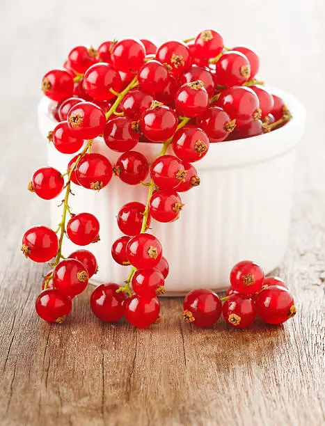 redcurrants in white bowl