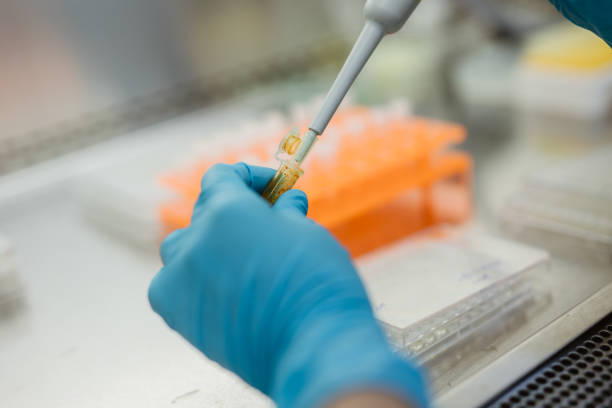 Scientific experiments to analyze and search for extracts in bacterial samples.