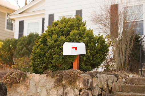 White metal mailbox on a pole. Plants behind.