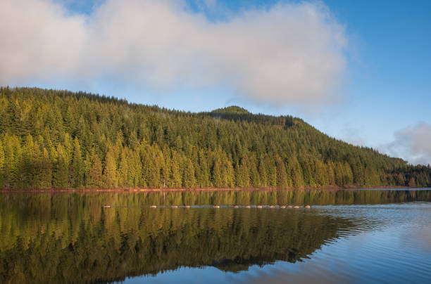 istock Autumn morning with the forest with lake, forest reflection and mist on the water surface. 1480490700