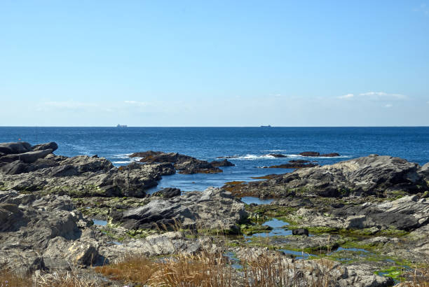istock The ocean seen from the rocky place 1480490980