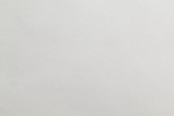 istock Blank sheet of paper 1480491845