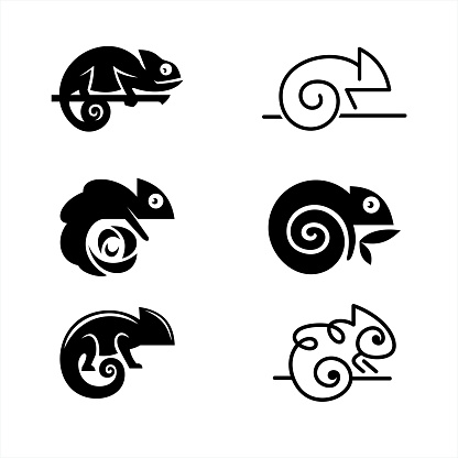 Set of 6 Chameleons illustrations, vector icons, chameleons symbols