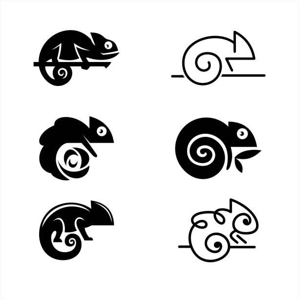 Chameleons Icons Set of 6 Chameleons illustrations, vector icons, chameleons symbols chameleon icon stock illustrations