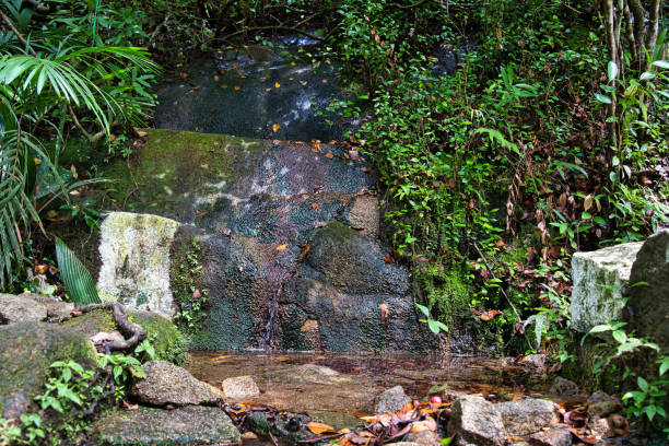 Trois frere nature trail, small river on granite rocks, Mahe, Seychelles