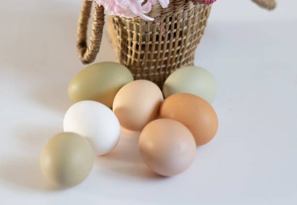 istock still life with simple chicken eggs, soft pastel colors, natural color chicken eggs, eggs in a wicker basket, Easter concept 1480498229