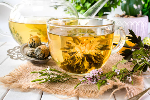 chá de flor florescente em uma xícara de vidro - glass tea herbal tea cup - fotografias e filmes do acervo