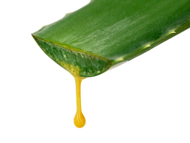 foglia di aloe vera appena affettata con goccia di aloina gialla isolata su fondo bianco, aloina o barbaloina per uso medicinale in stitichezza - healthy lifestyle homeopathic medicine aloe plant foto e immagini stock