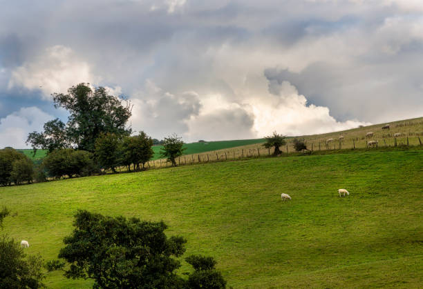 istock Snowdonia rural scene, Wales, UK 1480503809