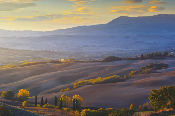 istock Autumn landscape in Tuscany at sunset 1480505371